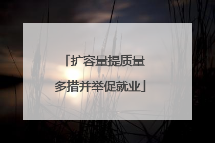 扩容量提质量 多措并举促就业