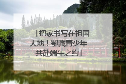 把家书写在祖国大地！鄂藏青少年共赴端午之约