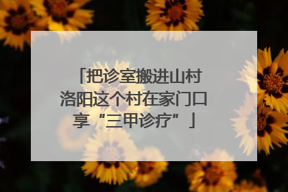 把诊室搬进山村 洛阳这个村在家门口享“三甲诊疗”