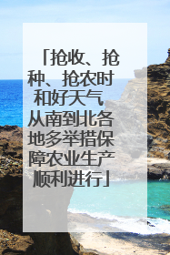 抢收、抢种、抢农时和好天气 从南到北各地多举措保障农业生产顺利进行