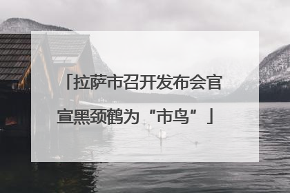 拉萨市召开发布会官宣黑颈鹤为“市鸟”