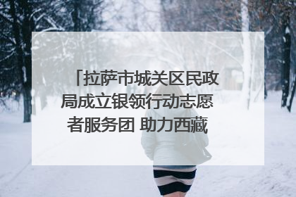拉萨市城关区民政局成立银领行动志愿者服务团 助力西藏银发经济发展