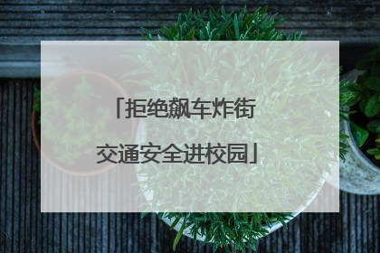 拒绝飙车炸街 交通安全进校园