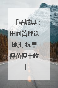 柘城县：田间管理送地头 抗旱保苗保丰收