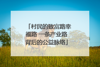 村民的致富路幸福路 一条产业路背后的公益脉络