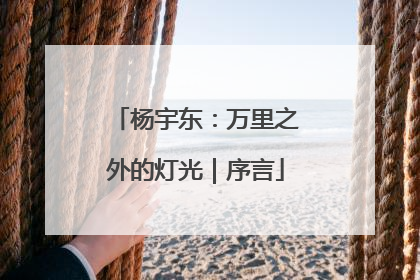 杨宇东：万里之外的灯光｜序言