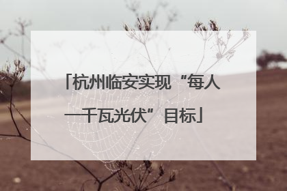 杭州临安实现“每人一千瓦光伏”目标