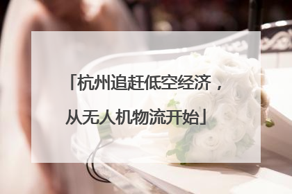杭州追赶低空经济，从无人机物流开始