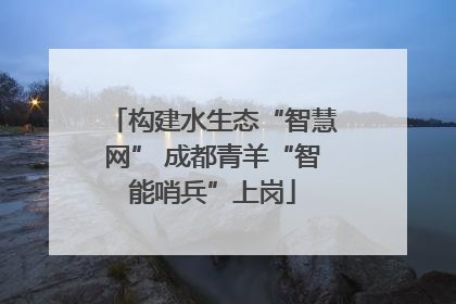 构建水生态“智慧网” 成都青羊“智能哨兵”上岗