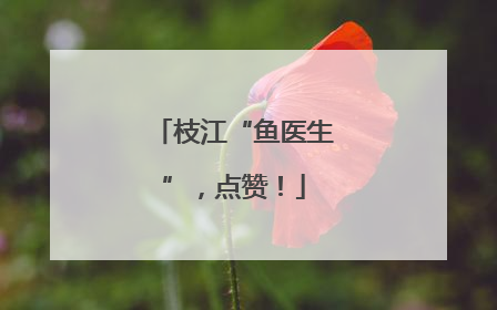 枝江“鱼医生”，点赞！