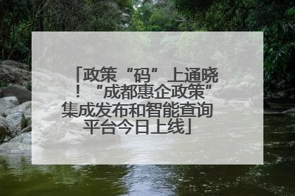 政策“码”上通晓！“成都惠企政策”集成发布和智能查询平台今日上线