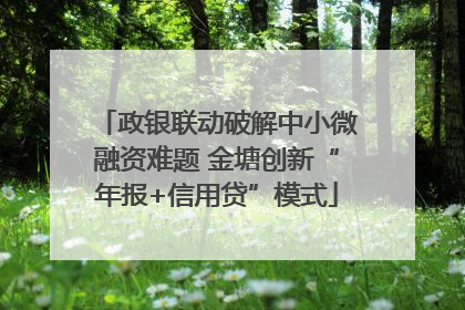 政银联动破解中小微融资难题 金塘创新“年报+信用贷”模式