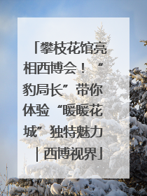 攀枝花馆亮相西博会！“豹局长”带你体验“暖暖花城”独特魅力｜西博视界