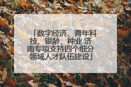 数字经济、青年科技、银龄、种业 济南专项支持四个细分领域人才队伍建设