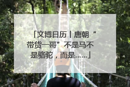 文博日历丨唐朝“带货一哥”不是马不是骆驼，而是……