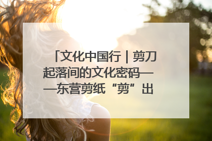 文化中国行｜剪刀起落间的文化密码——东营剪纸“剪”出非遗传承与现代生活的融合之道
