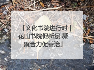 文化书院进行时｜花山书院促新景 凝聚合力促善治