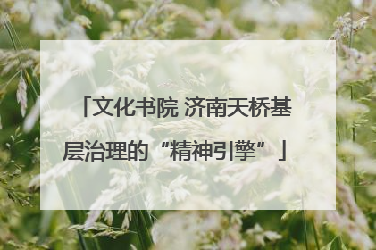 文化书院 济南天桥基层治理的“精神引擎”
