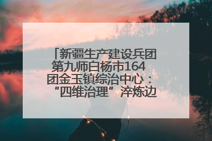 新疆生产建设兵团第九师白杨市164团金玉镇综治中心：“四维治理”淬炼边疆“枫桥样本”