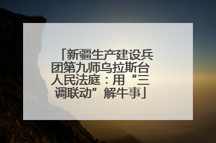 新疆生产建设兵团第九师乌拉斯台人民法庭：用“三调联动”解牛事