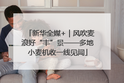 新华全媒+｜风吹麦浪好“丰”景——多地小麦机收一线见闻