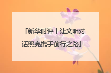 新华时评丨让文明对话照亮携手前行之路
