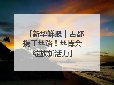 新华鲜报｜古都携手丝路！丝博会绽放新活力