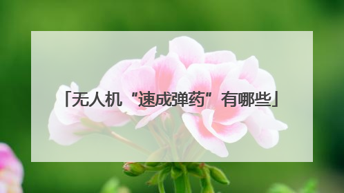 无人机“速成弹药”有哪些