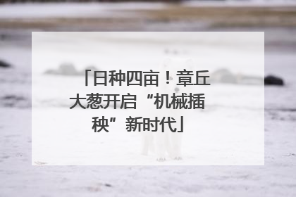 日种四亩！章丘大葱开启“机械插秧”新时代