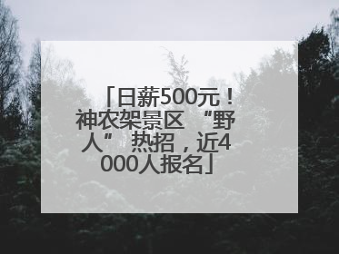 日薪500元！神农架景区 “野人” 热招，近4000人报名