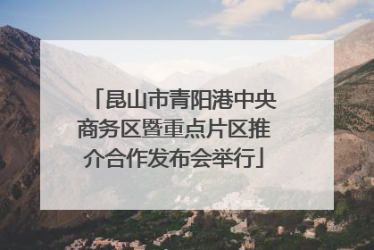 昆山市青阳港中央商务区暨重点片区推介合作发布会举行