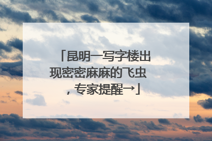 昆明一写字楼出现密密麻麻的飞虫，专家提醒→