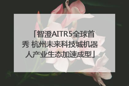 智澄AITR5全球首秀 杭州未来科技城机器人产业生态加速成型