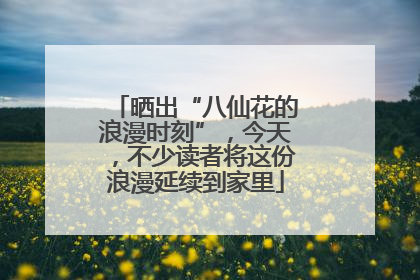 晒出“八仙花的浪漫时刻”，今天，不少读者将这份浪漫延续到家里