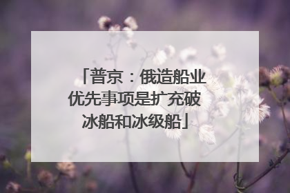 普京：俄造船业优先事项是扩充破冰船和冰级船