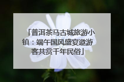 普洱茶马古城旅游小镇：端午国风盛宴邀游客共赏千年民俗