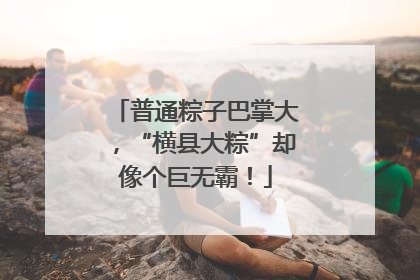 普通粽子巴掌大，“横县大粽”却像个巨无霸！