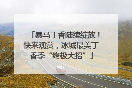暴马丁香陆续绽放！快来观赏，冰城最美丁香季“终极大招”