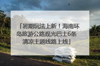 暑期玩法上新！海南环岛旅游公路观光巴士6条清凉主题线路上线