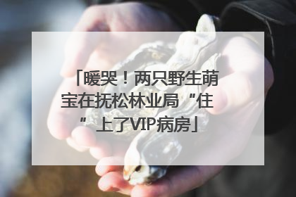 暖哭！两只野生萌宝在抚松林业局“住”上了VIP病房