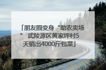 朋友圈变身“助农卖场” 武陵源区黄家坪村5天销出4000斤包菜