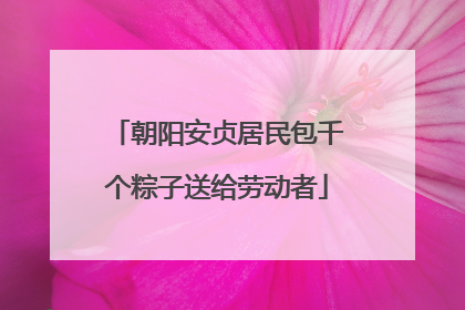 朝阳安贞居民包千个粽子送给劳动者