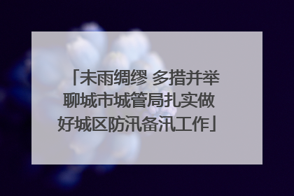 未雨绸缪 多措并举 聊城市城管局扎实做好城区防汛备汛工作