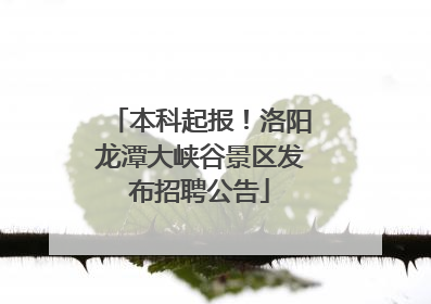 本科起报！洛阳龙潭大峡谷景区发布招聘公告