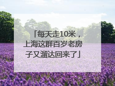 每天走10米，上海这群百岁老房子又溜达回来了