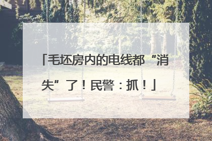 毛坯房内的电线都“消失”了！民警：抓！