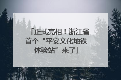 正式亮相！浙江省首个“平安文化地铁体验站”来了