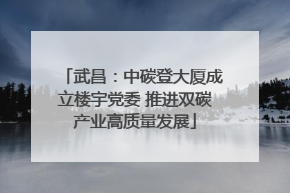 武昌：中碳登大厦成立楼宇党委 推进双碳产业高质量发展