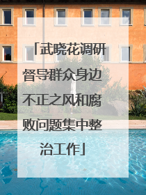武晓花调研督导群众身边不正之风和腐败问题集中整治工作