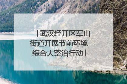 武汉经开区军山街道开展节前环境综合大整治行动